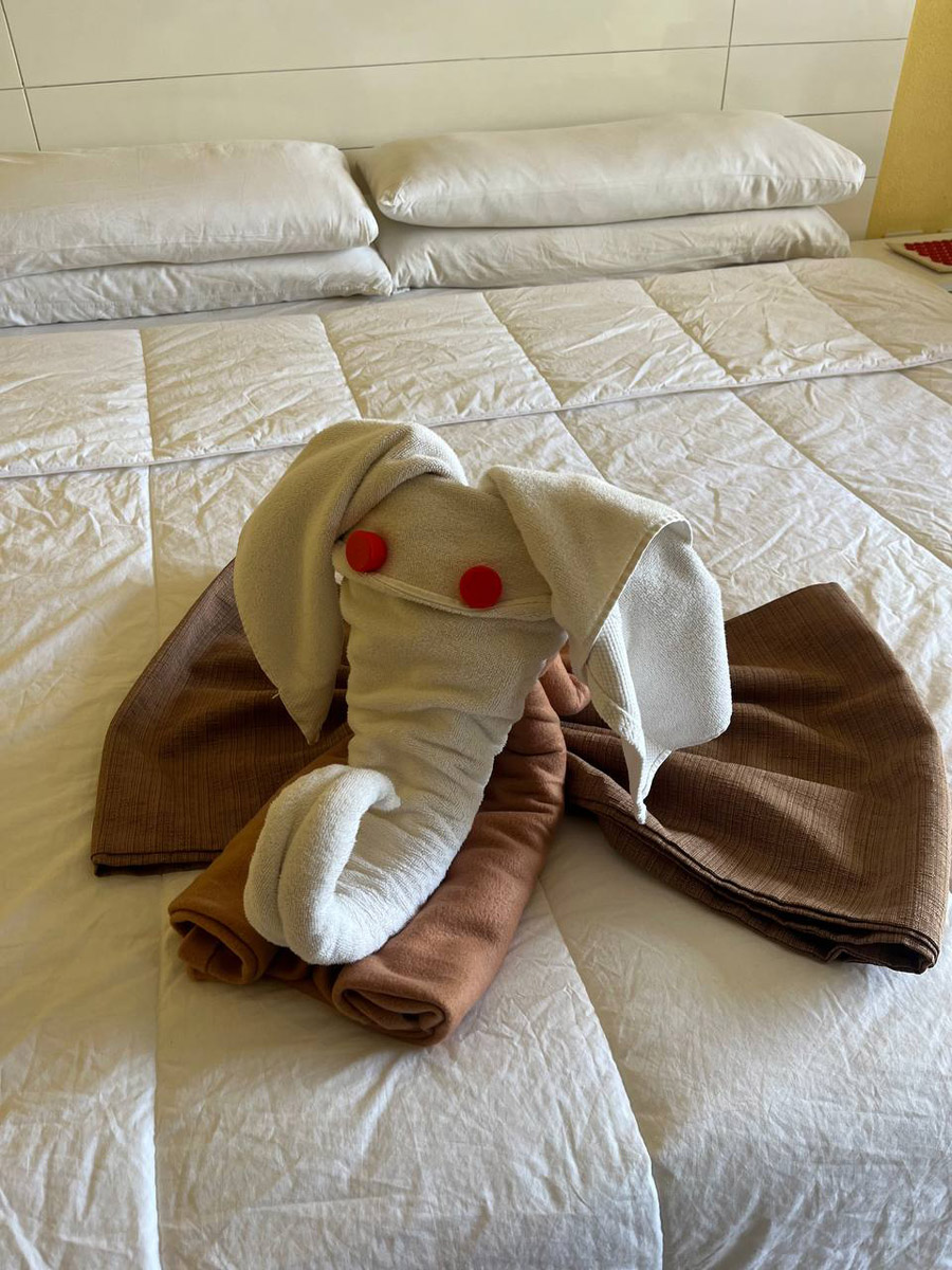 Слоник из полотенец в номере отеля Brisas Del Caribe