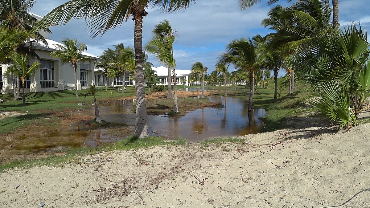 Отель PGS Varadero Hotel 4* Варадеро Куба. Вид на болото слева от выхода на пляж.