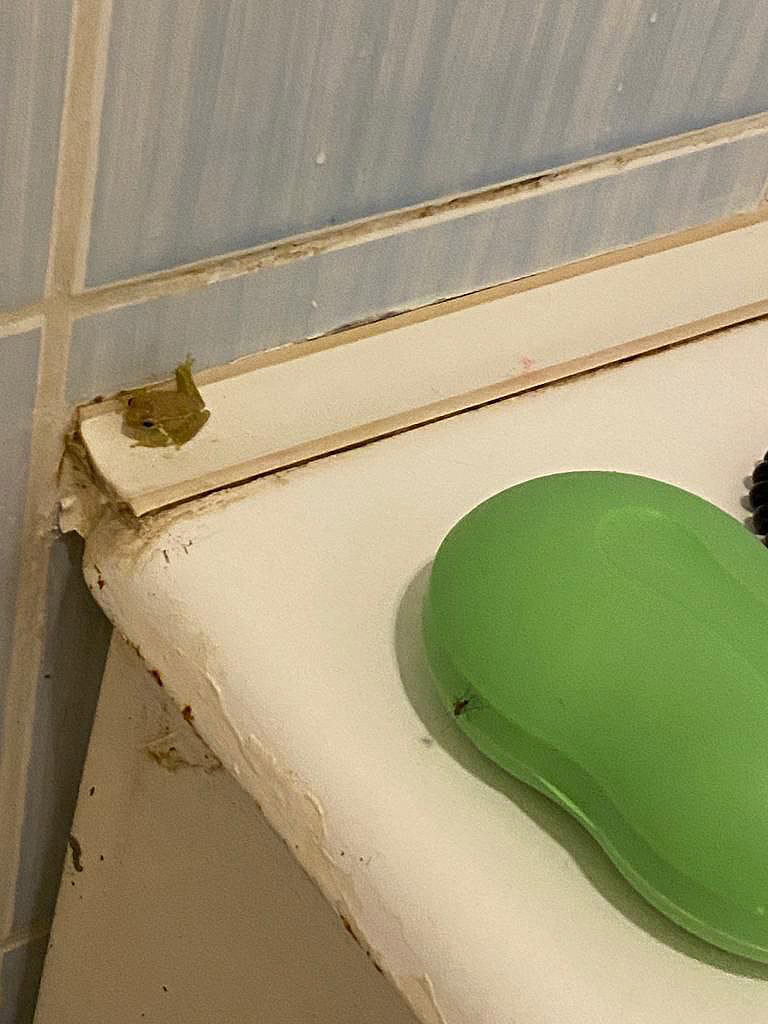 Фото PGS Varadero Hotel Лягушка в номере в ванной