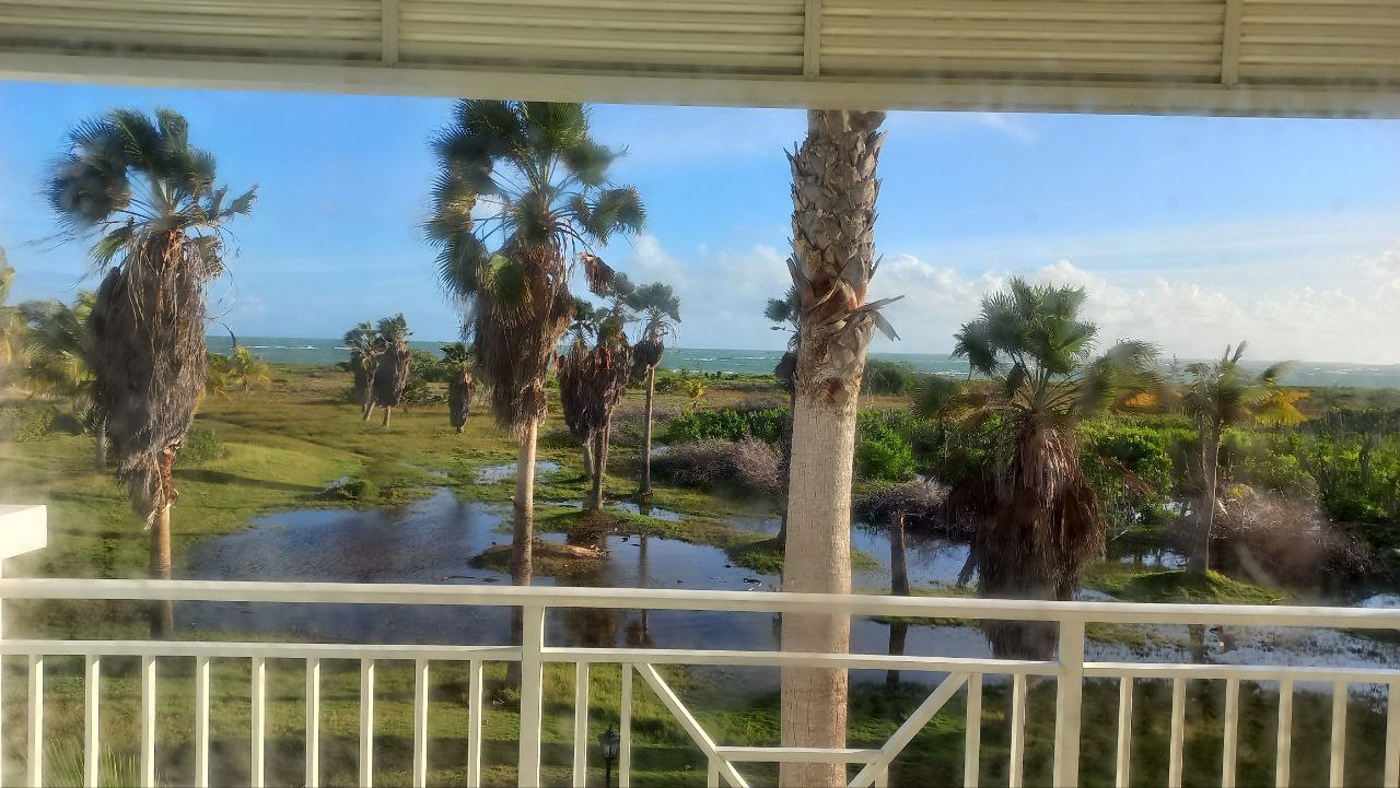 Фото PGS Varadero Hotel. Вид с балкона на болото.