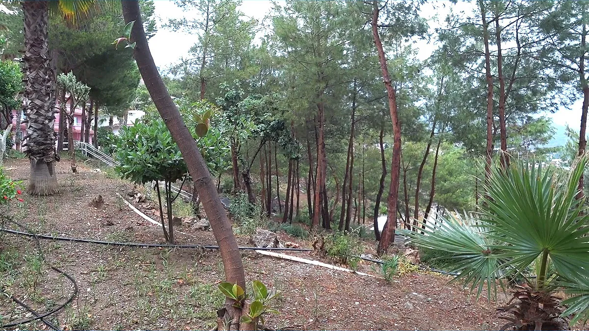 Территория отеля senza garden holiday club в отеле много зелени